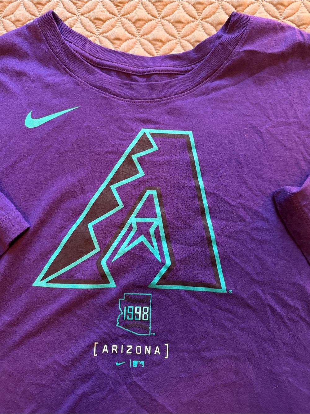 Nike Purple Arizona Diamondbacks Graphic Tee with Teal Accents